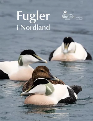 Fugler i Nordland