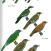 Birds of Senegal and The Gambia - 2. utgave