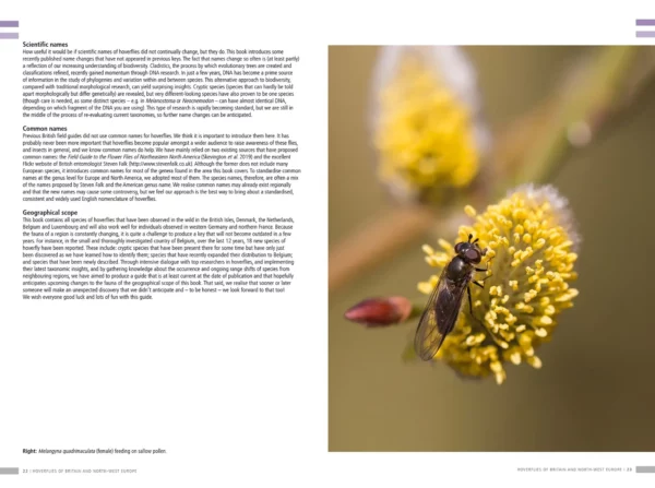 Hoverflies of Britain and North-west Europe