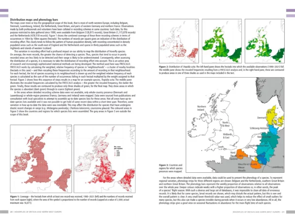 Hoverflies of Britain and North-west Europe