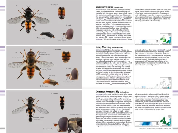 Hoverflies of Britain and North-west Europe