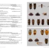 Hoverflies of Britain and North-west Europe
