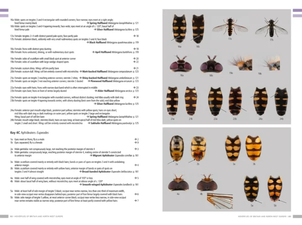 Hoverflies of Britain and North-west Europe