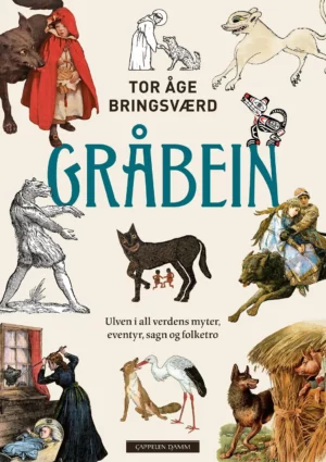 GRÅBEIN