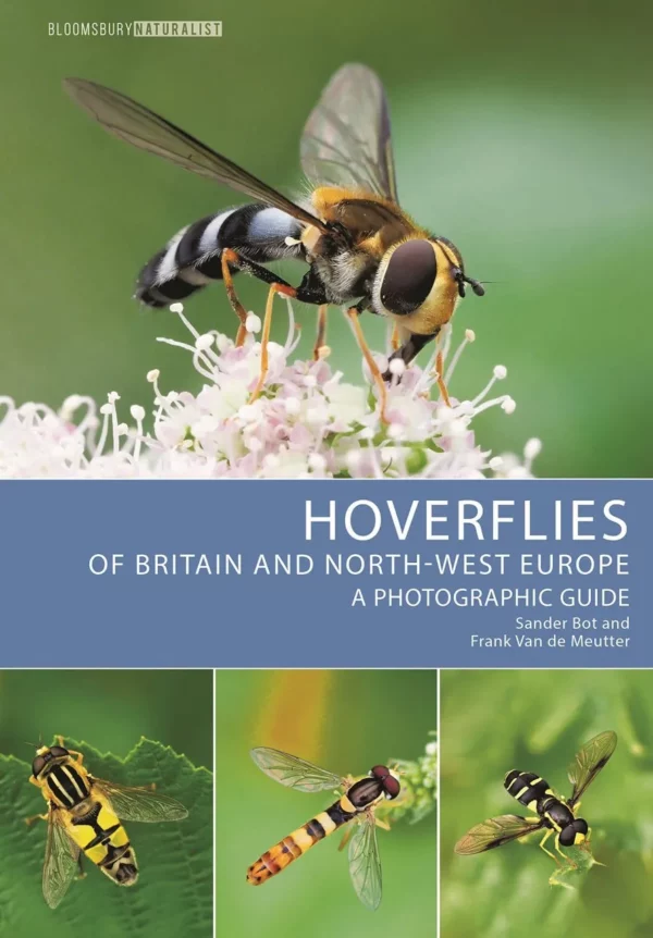 Hoverflies of Britain and North-west Europe