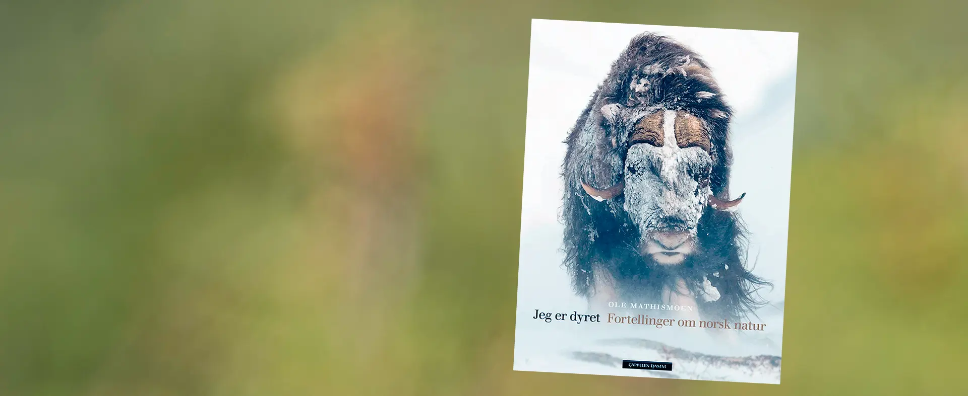 Jeg er dyret, fortellinger om norsk natur.