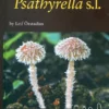 The genus Psathyrella s.l