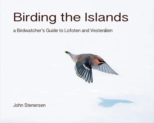Birding the Islands