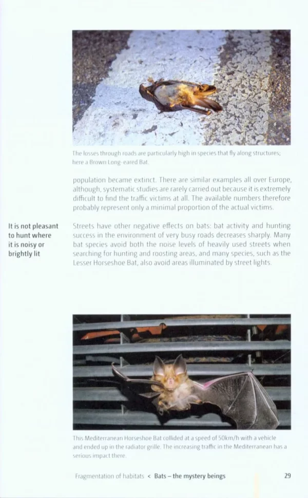 Bats of Britain and Europe