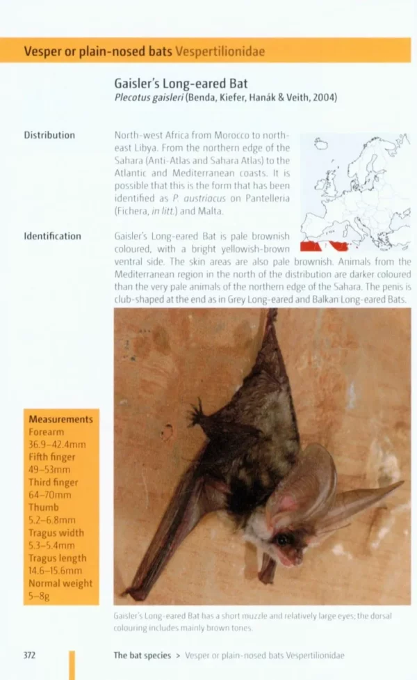 Bats of Britain and Europe