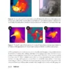 Thermal Imaging for Wildlife Applications