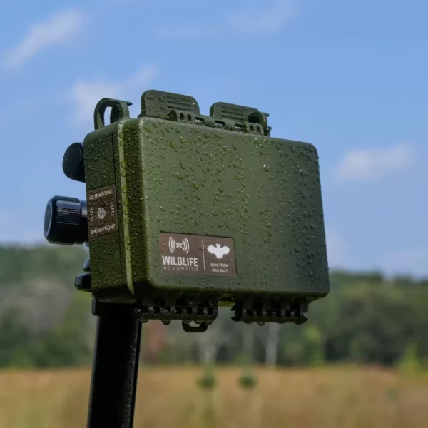 Wildlife Acoustics Song Meter Mini Bat 2 AA - Lydopptaker for flaggermus