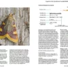 A Guide to the Pyralid and Crambid Moths of Britain and Ireland