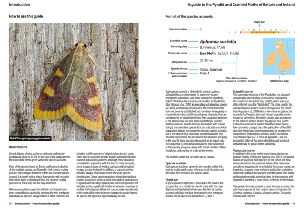 A Guide to the Pyralid and Crambid Moths of Britain and Ireland