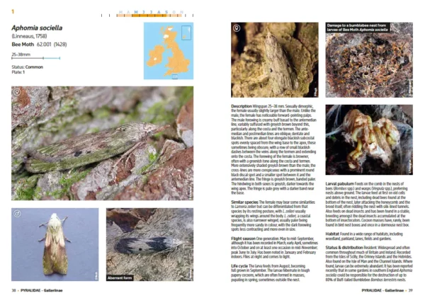 A Guide to the Pyralid and Crambid Moths of Britain and Ireland