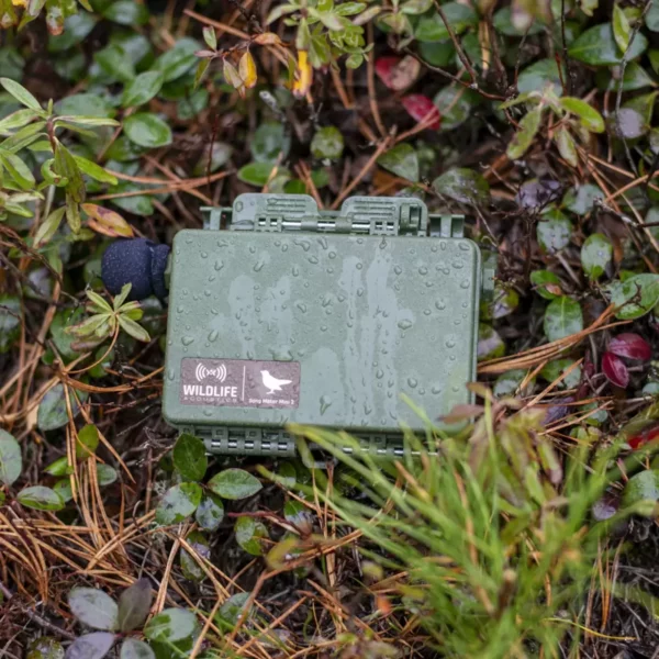 Wildlife Acoustics Song Meter Mini 2 AA