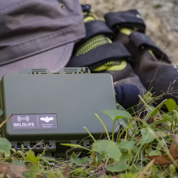 Wildlife Acoustics Song Meter Mini Bat 2 AA - Lydopptaker for flaggermus
