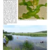 Aquatic Plants of Northern and Central Europe including Britain and Ireland