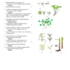 Aquatic Plants of Northern and Central Europe including Britain and Ireland