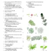 Aquatic Plants of Northern and Central Europe including Britain and Ireland