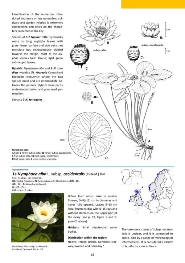 Aquatic Plants of Northern and Central Europe including Britain and Ireland