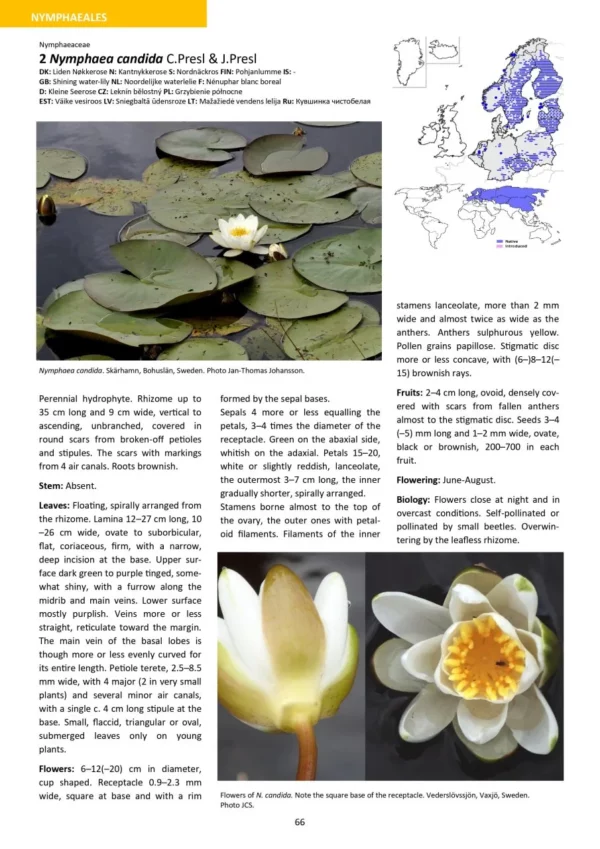 Aquatic Plants of Northern and Central Europe including Britain and Ireland