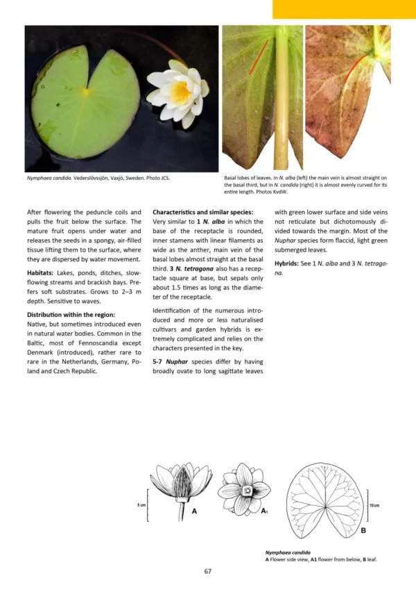 Aquatic Plants of Northern and Central Europe including Britain and Ireland