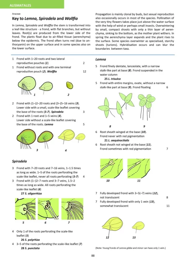 Aquatic Plants of Northern and Central Europe including Britain and Ireland