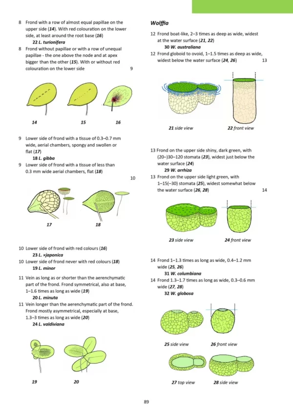 Aquatic Plants of Northern and Central Europe including Britain and Ireland