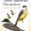 Field Guide to North American Flycatchers: Kingbirds and Myiarchus