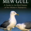 The Vanishing Mew Gull