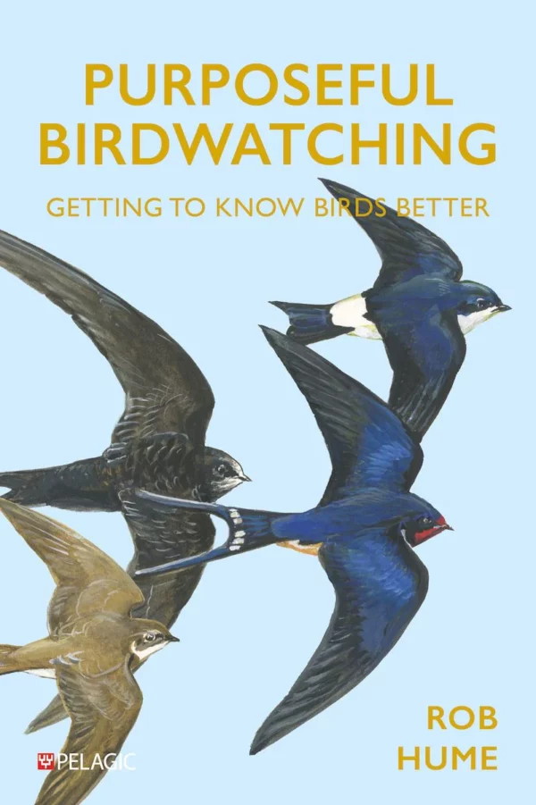 Purposeful Birdwatching