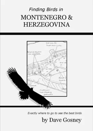 Finding Birds in Montenegro and Herzegovina