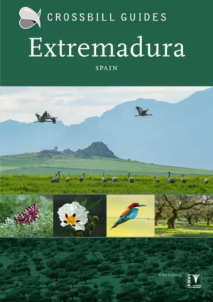 Crossbill Guides Extremadura