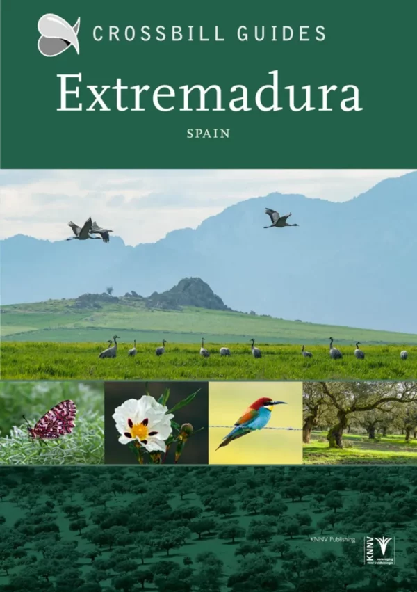 Crossbill Guides Extremadura