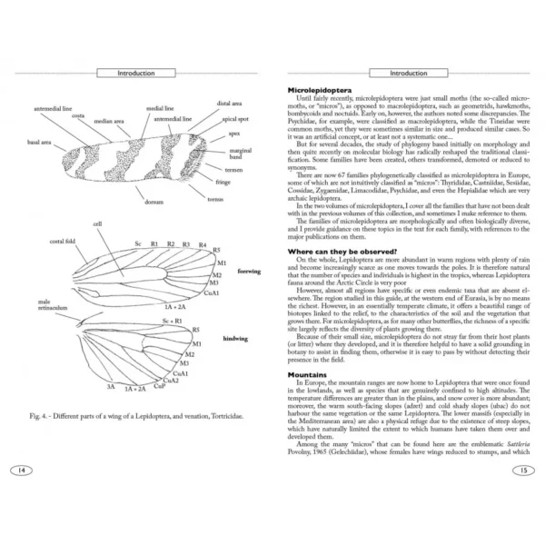 Moths of Europe Volume 7