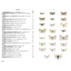 Moths of Europe Volume 7