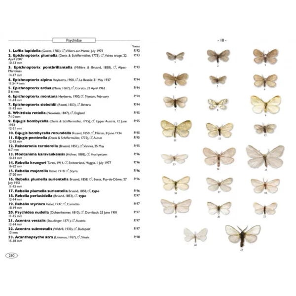 Moths of Europe Volume 7