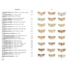 Moths of Europe Volume 7