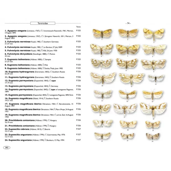 Moths of Europe Volume 7