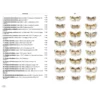 Moths of Europe Volume 7