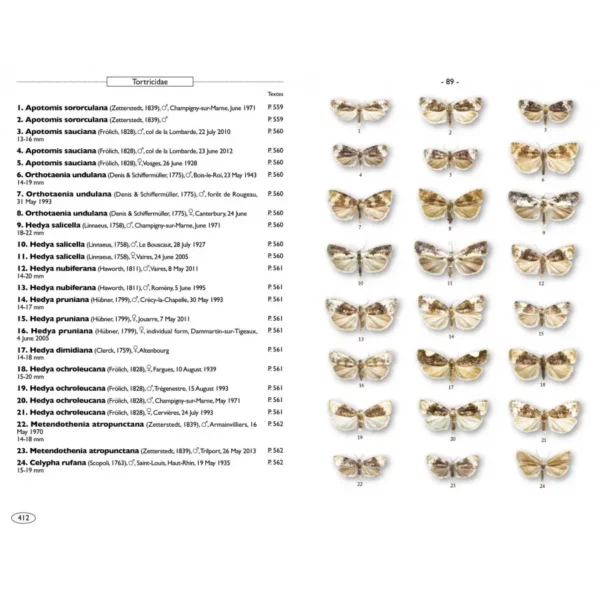 Moths of Europe Volume 7