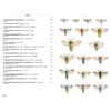 Moths of Europe Volume 8