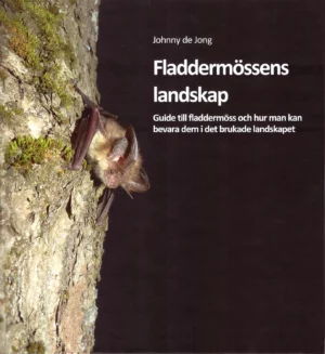 Fladdermössens landskap