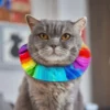 Birdsbesafe kattehalsbånd Rainbow Sally