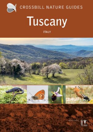 Crossbill Guides Tuscany