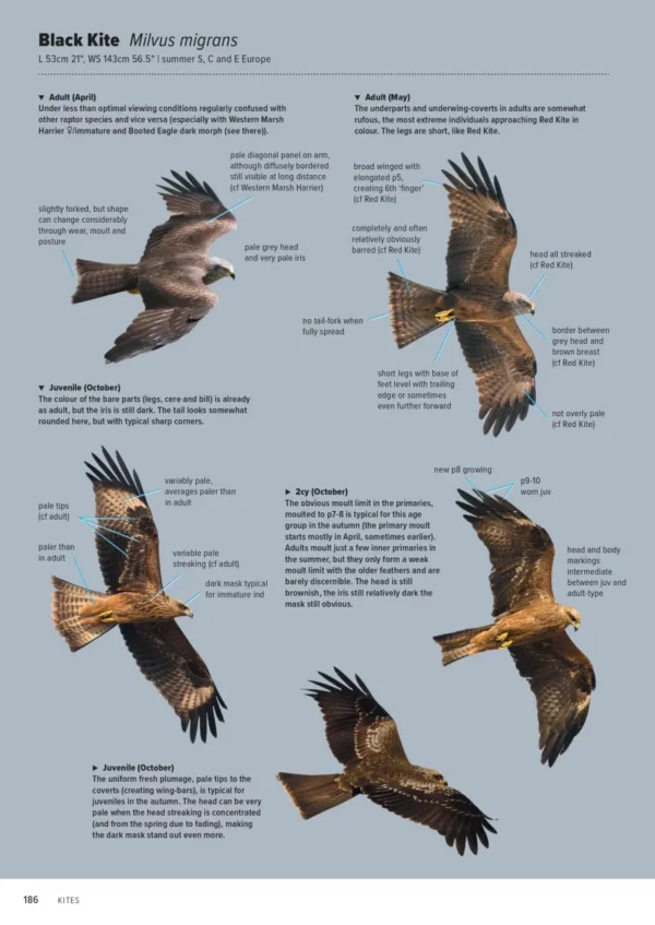 ID Handbook of European Birds