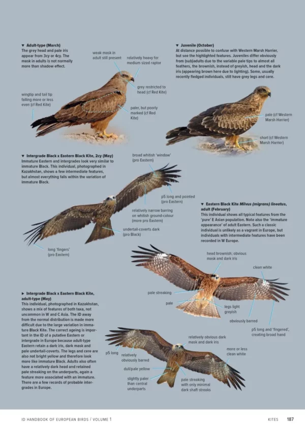 ID Handbook of European Birds
