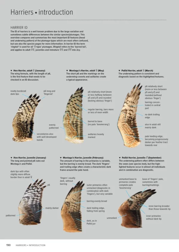 ID Handbook of European Birds