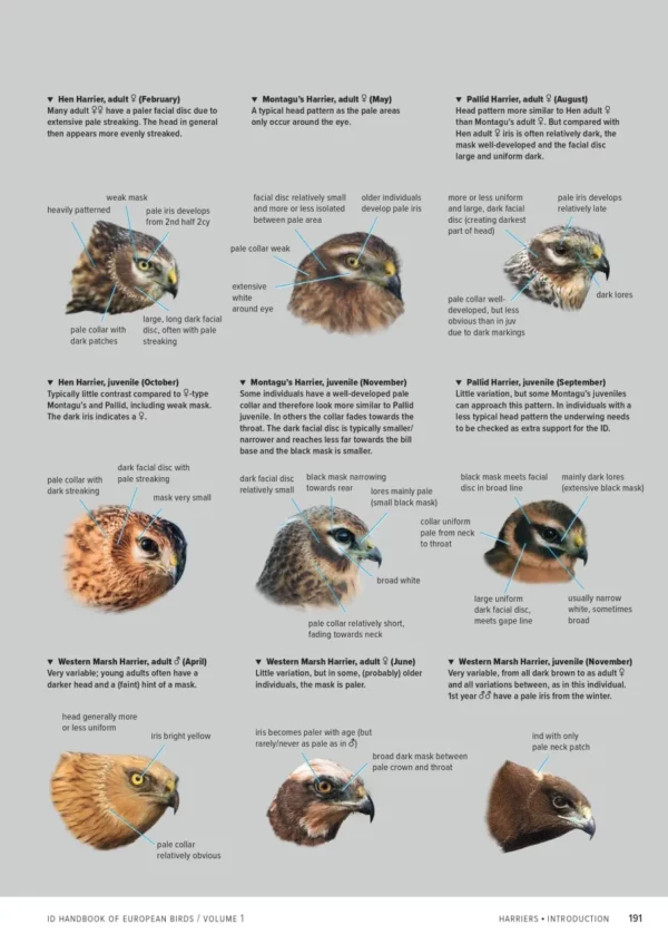 ID Handbook of European Birds